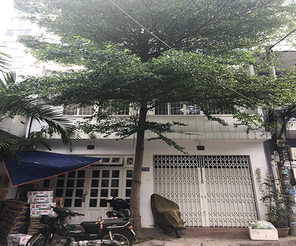 ban nha hxh duong xo viet nghe tinh p17 binh thanh  62x76m 4 lau  135 ty