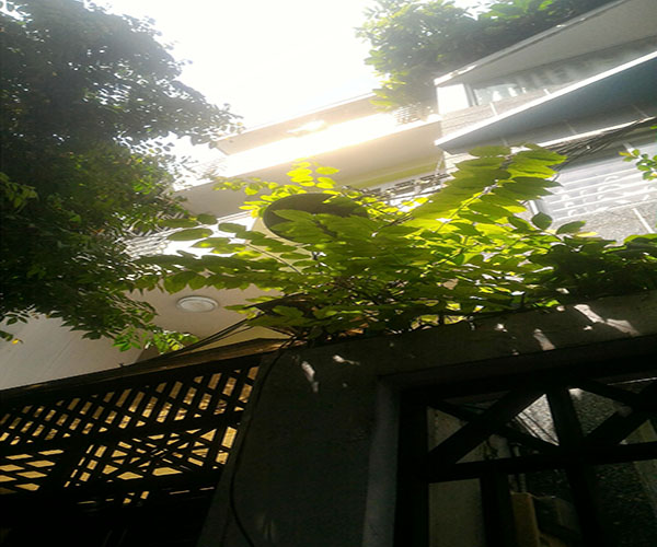 ban nha hxh huynh van banh p 13phu nhuan  33 x16mnh 6m 3lau  61 ty