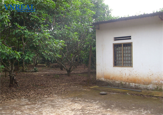 ban dat tho cu mat tien duong so 31 phuong 6 quan go vap dt  1200m2