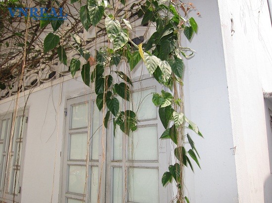 ban nha quan tan binh phuong 5 hem xe 3m duong cach mang thang 8 dien tich   46 x 8 m  nh 51m 