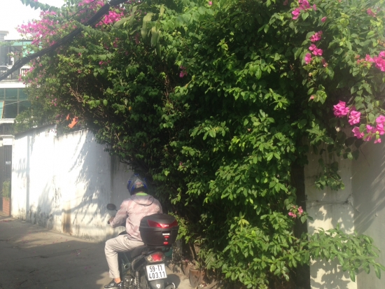 ban nha duong nguyen dinh chieu quan phu nhuandt   162m2